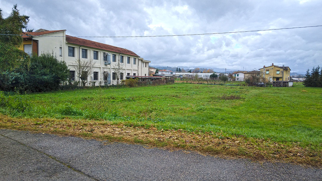 Aste   Terreni Agricoli  - Terreno a Montevarchi in località Levanella - Lotto 1 (B)