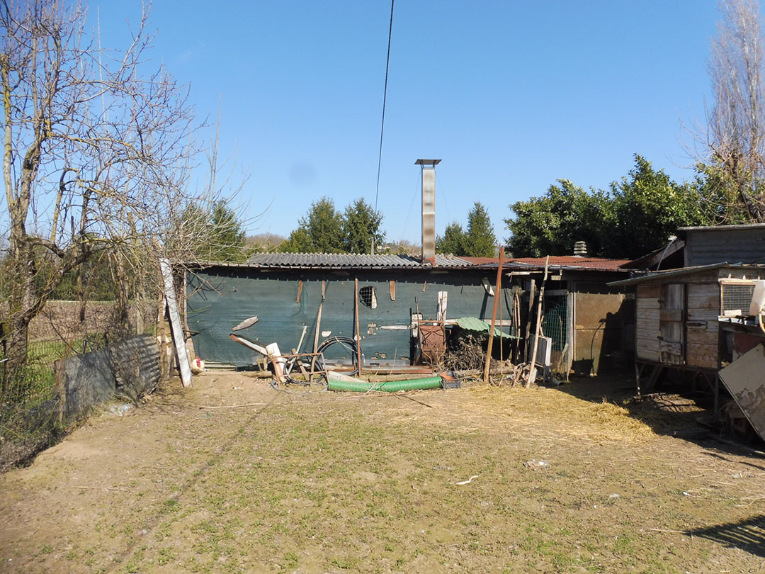 Aste   Garage o autorimessa  - Annesso agricolo a Terranuova Bracciolini in Via Dell’Acacia - Lotto 7