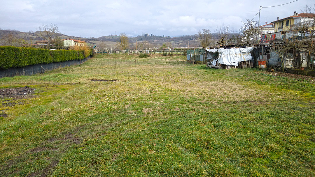 Aste   Terreni Agricoli  - Terreno a Montevarchi in località Levanella - Lotto 2 (C)